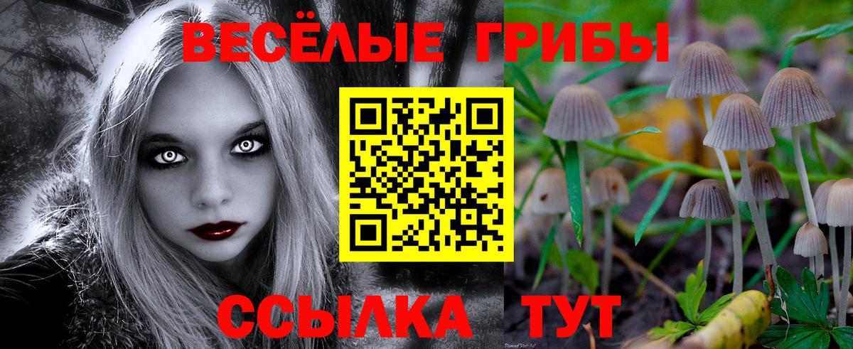 Псилоцибиновые грибы ЛСД Прохладный